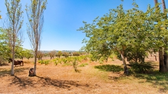 Costa Blanca's Hidden Gem: A Restored 200-Year-Old Finca surrounded by natural beauty