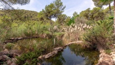Super charmante Ibiza finca met verhuurlicentie, privacy en toplocatie tussen stad en strand