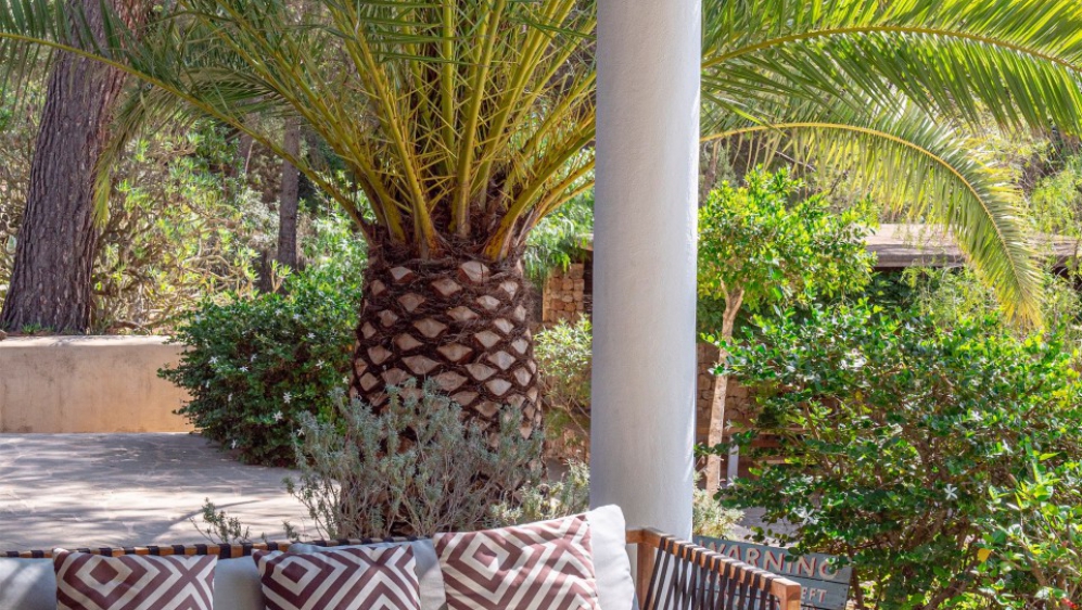 Super charmante Ibiza finca met verhuurlicentie, privacy en toplocatie tussen stad en strand