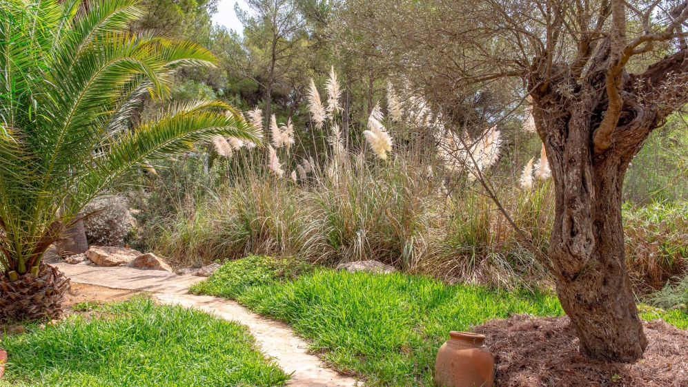 Super charmante Ibiza finca met verhuurlicentie, privacy en toplocatie tussen stad en strand