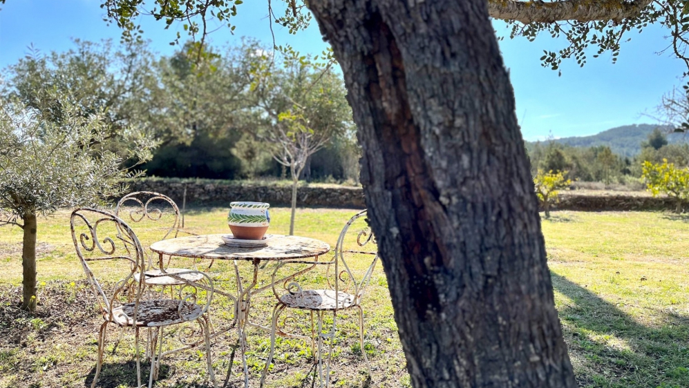 Luxe moderne villa midden in de natuur dicht bij de mooiste stranden van Ibiza's westkust