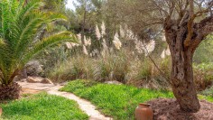 Charming Finca with Tourist Licence, Full Privacy and Strong Rental Potential Near Ibiza Town