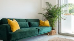Unique investment in Ibiza: Luxurious hotel-apartments with touristic rental license