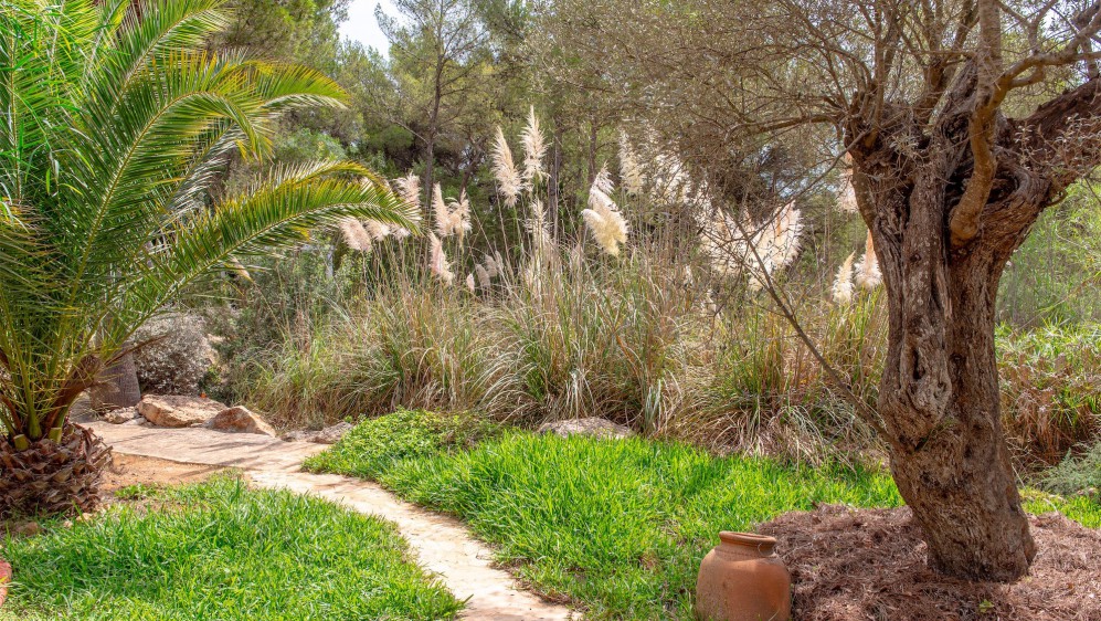 Charming Finca with Tourist Licence, Full Privacy and Strong Rental Potential Near Ibiza Town